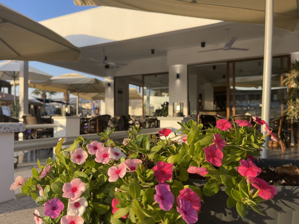 big-surprise-here-you-get-the-best-breakfast-in-tala